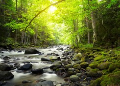 ŠUMAVA – VOLARY: JEZERA, HORSKÉ VÝHLEDY A RENESANCE