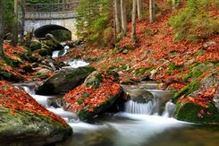 ŠUMAVA – VOLARY: JEZERA, HORSKÉ VÝHLEDY A RENESANCE