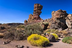 POHODOVÝ TÝDEN – TENERIFE – MEZI SOPKAMI A EXOTICKÝMI SOUTĚSKAMI