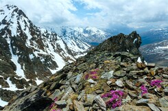 ÚDOLÍ PITZTAL A KAUNERTAL