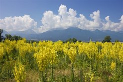 RILA A PIRIN - STŘECHA BALKÁNU