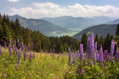 RAKOUSKO - HORSKÉ ŠTÍTY NAD INNSBRUCKEM