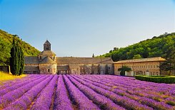 FRANCIE - PROVENCE - VŮNĚ LEVANDULE