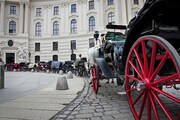 RAKOUSKO - TURISTIKA V ÚDOLÍ GLEMMTAL