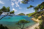 JIŽNÍ TOSKÁNSKO A OSTROV ELBA