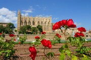 MALLORCA - KOUZELNÝ OSTROV