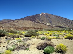 KANÁRSKÉ OSTROVY - TENERIFE