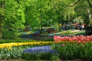 ROTTERDAM A KEUKENHOF