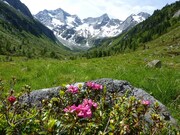 NP BERCHTESGADEN, ORLÍ HNÍZDO