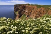 NĚMECKO - OSTROV HELGOLAND