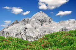 SLOVINSKO - TRIGLAVSKÝ NP, JEZERA BLED A BOHINJ