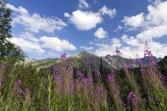 SLOVENSKO - VYSOKÉ TATRY S PĚŠÍ TURISTIKOU