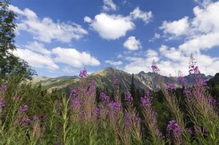 SLOVENSKO - VYSOKÉ A BELIANSKÉ TATRY S PĚŠÍ TURISTIKOU