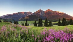 SLOVENSKO - VYSOKÉ TATRY VLAKEM