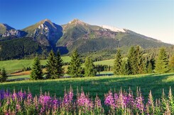 NÍZKÉ TATRY, TERMÁLY A TURISTIKA