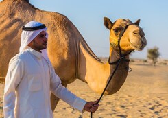 JORDÁNSKO - POUŠTNÍ KRÁSKY PETRA a WADI RUM